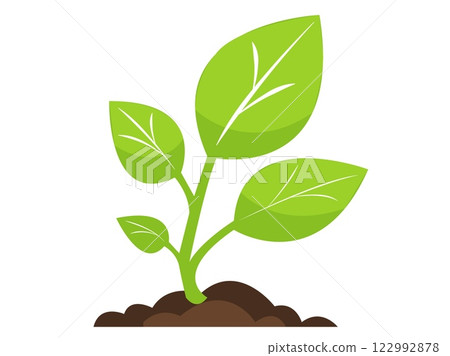 Fresh green plant sprouting from rich soil in a vibrant, colorful vector illustration 122992878