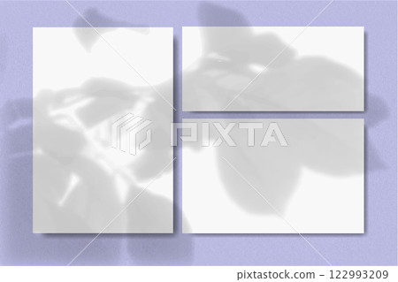 Natural light casts shadows from a leaves flower on Horizontal and vertical sheets of white textured paper against a violet wall background. Mock up Natural light casts shadows from a leaves flower on Horizontal and vertical sheets of white textured paper against a violet wall background. Mock up 122993209