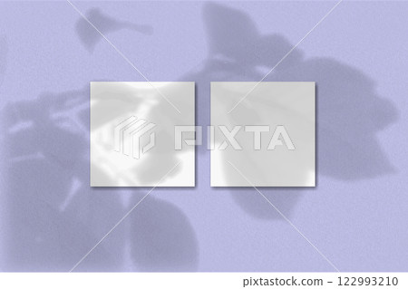 Natural light casts shadows from a twig with flower leaves on 2 square sheets of white paper lying on a violet textured background Natural light casts shadows from a twig with flower leaves on 2 square sheets of white paper lying on a violet textured background 122993210