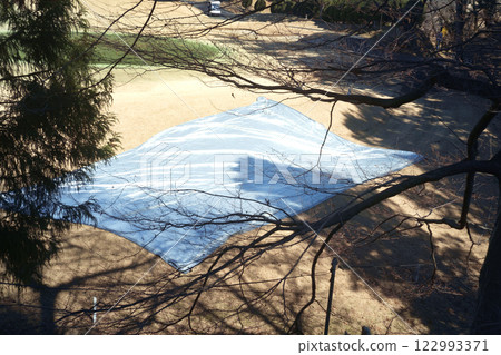 Trees reflected in the sheet Trees reflected in the sheet 122993371