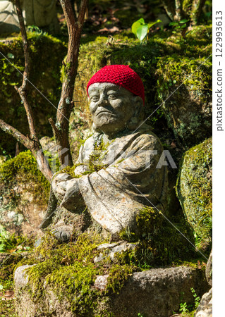 The 500 Arhats of Daisho-in Temple, Miyajima 122993613