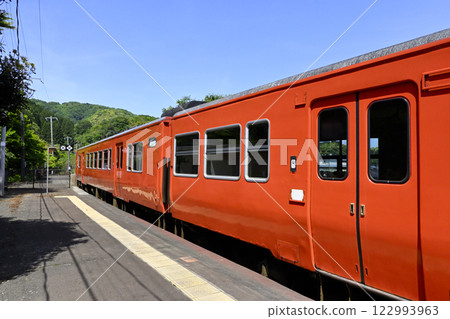 當地火車和月台 122993963