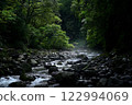 一條河流穿過霧林 122994069
