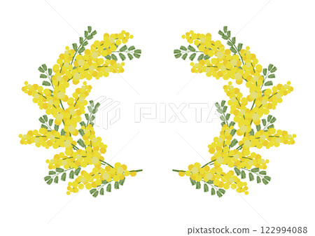 含羞草花的連續花冠 含羞草花的連續花冠 122994088