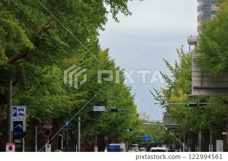 橫濱秋葉變色前的山下公園街風景 122994561