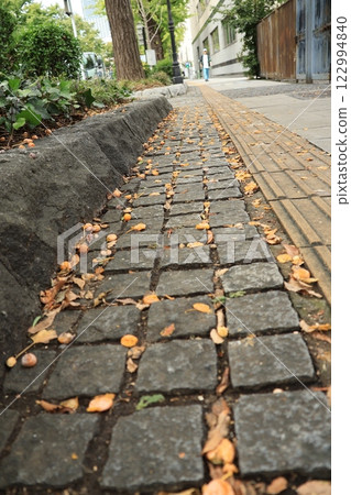 橫濱山下公園路人行道上散落的銀杏果 橫濱山下公園路人行道上散落的銀杏果 122994840