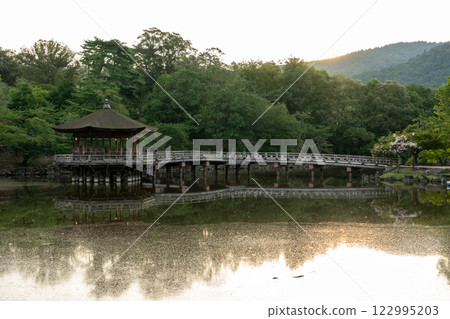 Ukifumido of Nara Park 122995203