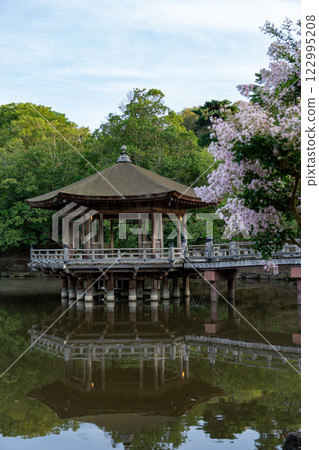 Ukifumido of Nara Park Ukifumido of Nara Park 122995208