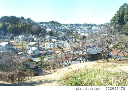 Townscape from the Satoyama in Karakida, Tama City Townscape from the Satoyama in Karakida, Tama City 122995470