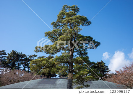 MOA Museum of Art Moore Square MOA Museum of Art Moore Square 122996127