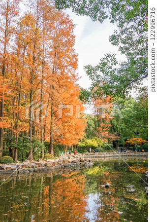秋天的上海人民公園 122996716