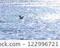 A heron flying over the Noto Sea on a clear winter day 122996721