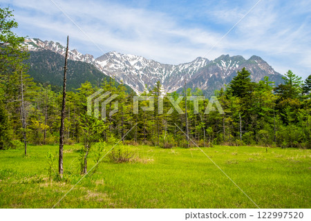 《Kamikochi in the new green season》Hotaka mountain range with snow remaining as seen from Tashiro Marsh 122997520