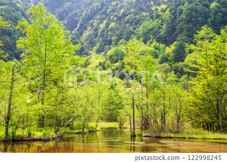 [Early summer Kamikochi] Tashiro Pond with dazzling fresh greenery 122998245