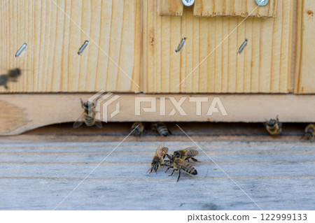 Observe the Busy Bees at the Entrance of the Hive A Showcase of Natures Marvels and Wonders 122999133