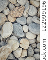 海卵石 122999196