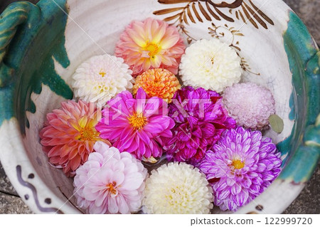 Gorgeous dahlia flower water basin Gorgeous dahlia flower water basin 122999720