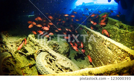 S.S. Thistlegorm cargo ship wreck, Red Sea S.S. Thistlegorm cargo ship wreck, Red Sea 123000393