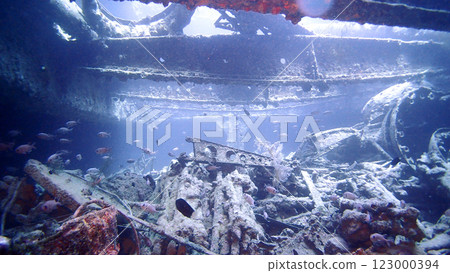 S.S. Thistlegorm 貨船沉船,紅海 S.S. Thistlegorm 貨船沉船,紅海 123000394