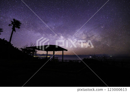 《德島縣 潮吹休息站》 潮吹休息站的黎明星空、棕櫚樹和涼亭 123000613