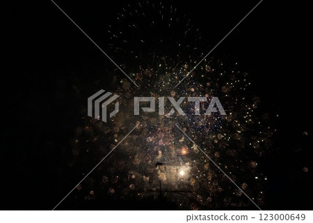 Fireworks shining in the night sky Fireworks shining in the night sky 123000649