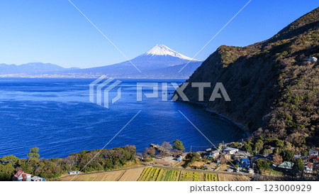 從井田眺望駿河灣和富士山 123000929
