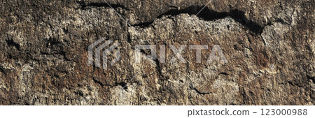 A close up of a rough, cracked rock surface with earthy brown and beige tones. The natural texture and weathered details make it ideal for backgrounds, geology themes, and organic material references. 123000988