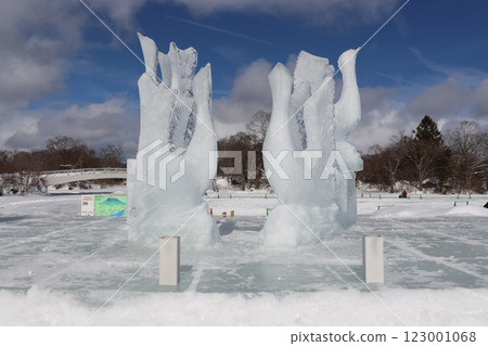 大沼函館冰雪節 123001068