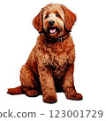 Realistic Illustration: Goldendoodle Red 123001729