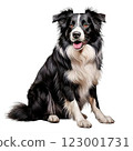 Realistic illustration: Border Collie 123001731