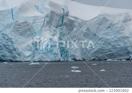 Antarctic landscape with a diving whale Antarctic landscape with a diving whale 123001802