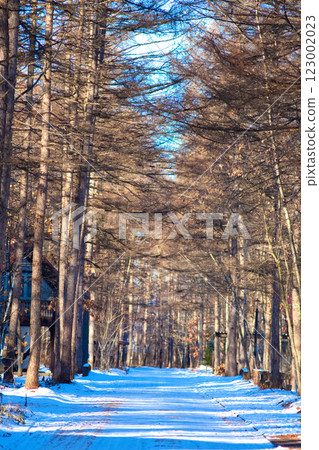 北海道的冬天風景 123002023
