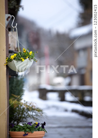 250105 金山町 0097 123002415