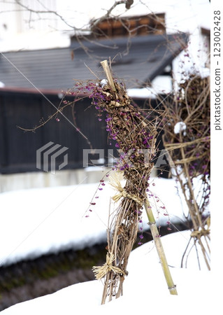 250105 Kanayamacho 0084 123002428