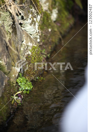 250105 Kanayamacho 0035 123002487