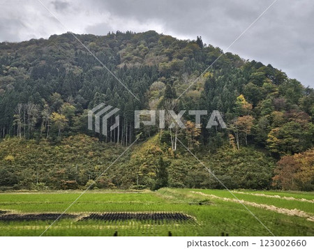 一座變成紅色葉子的山 一座變成紅色葉子的山 123002660