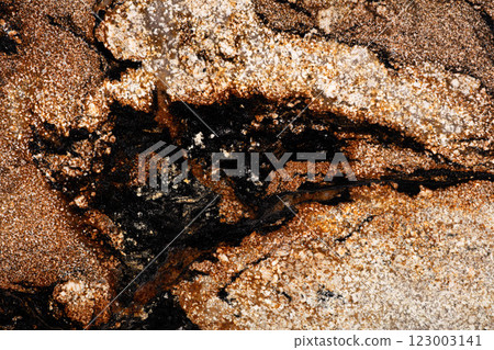 Sedna Gold - granite background, stylish texture as part of your individual design project. 123003141