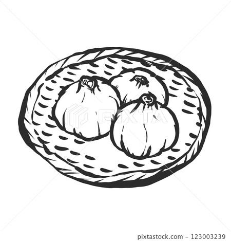 Garlic hand-drawn brush style illustration 123003239
