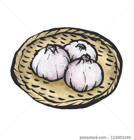 Garlic hand-drawn brush style illustration 123003240