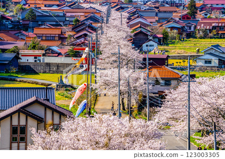 春天的新莊宿鳥瞰圖 17 岡山郡真庭郡新莊村 123003305