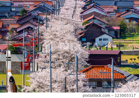 Aerial view of Shinjo-shuku in spring 7 Shinjo Village, Maniwa District, Okayama Prefecture Aerial view of Shinjo-shuku in spring 7 Shinjo Village, Maniwa District, Okayama Prefecture 123003317