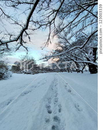 積雪覆蓋的道路 123003339