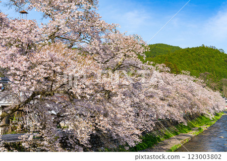 手鞠大道、出雲大道 舊三河旅館 春景 4 岡山縣真庭市 123003802