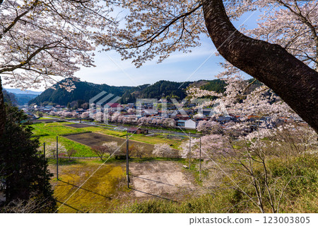 手鞠大道、出雲大道 舊三河旅館 春景 2 岡山縣真庭市 123003805