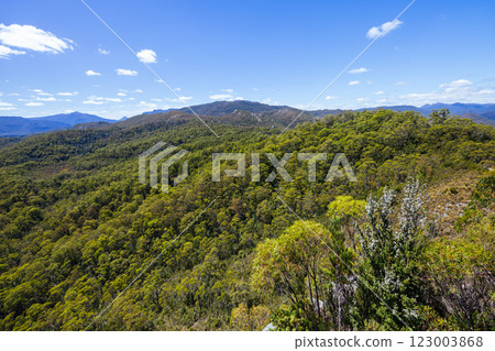 Donaghys Hill in Tasmania Australia 123003868