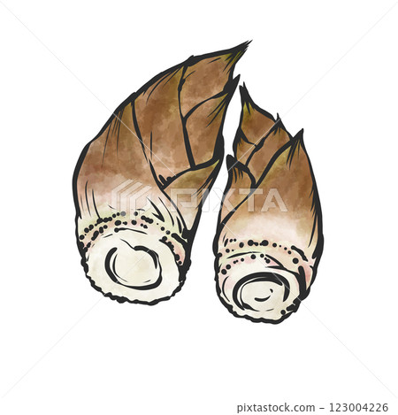 竹筍的手繪插圖 123004226