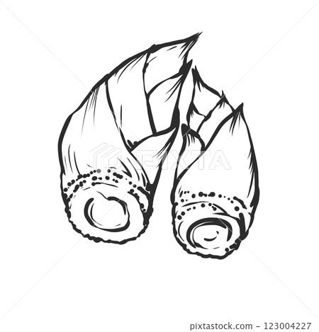 Hand-drawn illustration of bamboo shoots Hand-drawn illustration of bamboo shoots 123004227