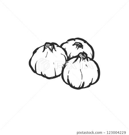 大蒜手繪筆刷風格插畫 123004229