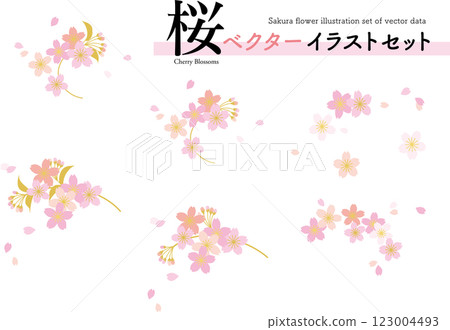 簡單的櫻花向量插圖集向量白色背景 123004493