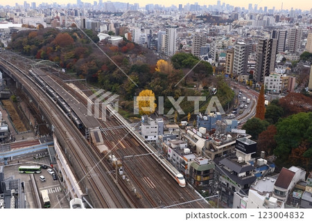 Tobu Railway 100 Series "Spacia" direct to JR East 5 123004832